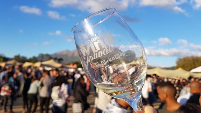 Stellenbosch wine festival 2018