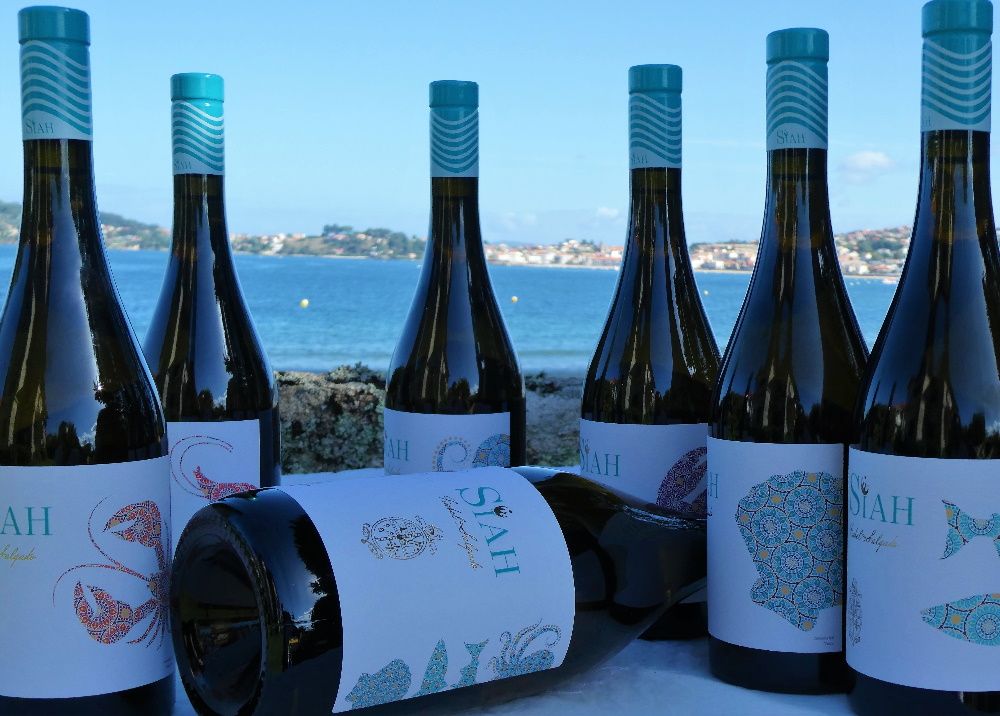 Six bottles of Siah 2024 with the Galician coast behind them